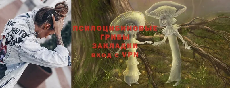 Псилоцибиновые грибы MAGIC MUSHROOMS  Бирск 